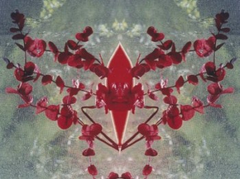 51
