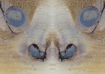 52