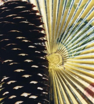 55