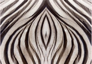 63 
