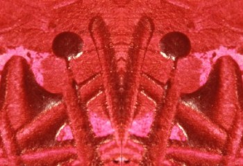 91